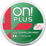 on! PLUS Watermelon Mint Regular