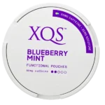 XQS Blueberry Mint Slim Functional Pouches