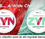 Zyn 10 cans Mix-pack