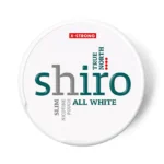SHIRO TRUE NORTH